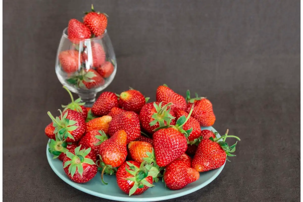 O-Fruits Defined: Nutritional Benefits and Culinary Uses